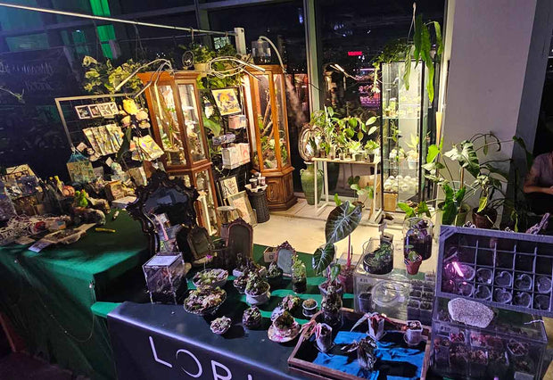 Table with various plants and decorative items in a store setting