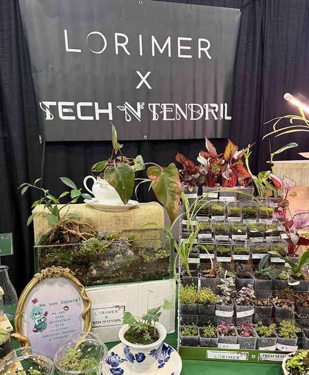 Lorimer x Tech N Tendril display with plants and signs at an event.