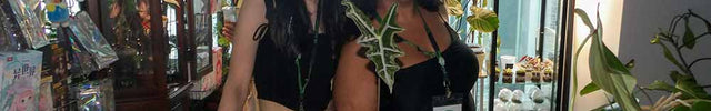 Two women Amy and Leyla, standing with decorative items, and several plants in an indoor set