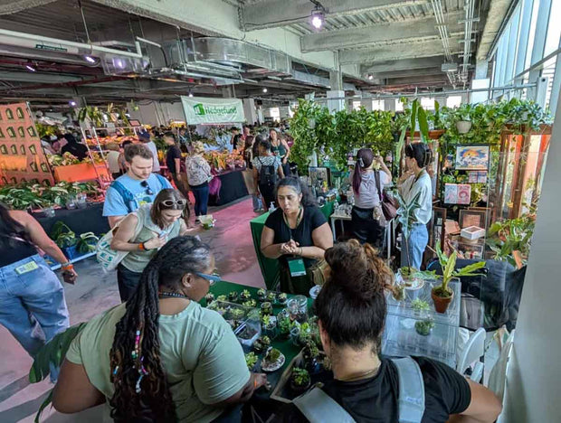 People shopping at an event with various stalls and products.