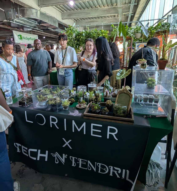 Table with plants and 'Lorimer x Tech N' Tendril' branding at an event.